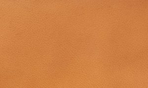 Anilin laeder nature 2981 Amber 630x375