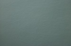 Let korrigeret semi anilin laeder paloma 05519 seagreen