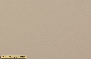 Let korrigeret semi anilin laeder paloma champagne 05489