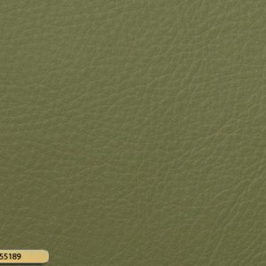 Let korrigeret semi anilin laeder paloma pistazie 55189