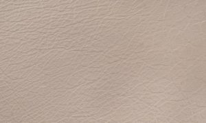 Let korrigeret semi anilin laeder sydney 3394 Nature 630x375
