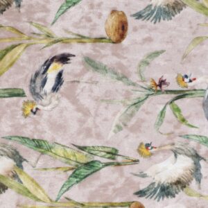 Pintail Ice Velvet Crowned Crane 4008