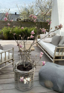 havehynder terrasse 3