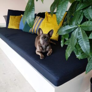 Daybed skum polstring skumfabrikken 19