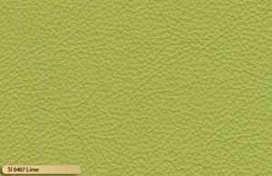 si 0407 lime 1
