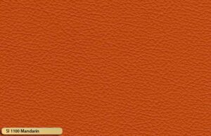 si 1100 mandarin 1