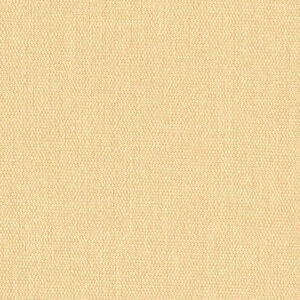Acrisol Liso 02 1 BEIGE CLARO
